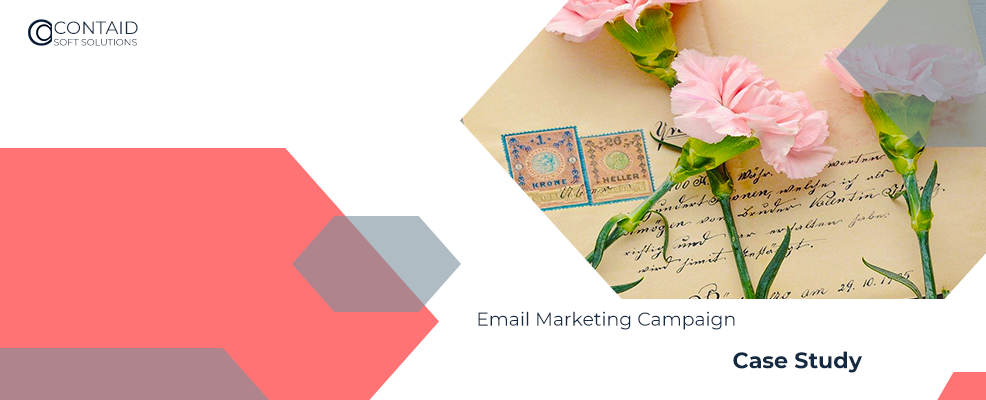 HubSpot Email Marketing Campaign Case Study