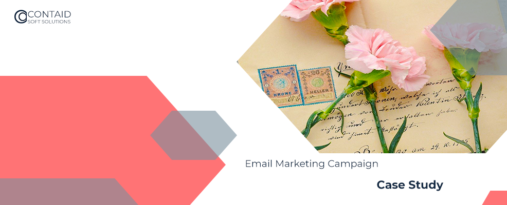 HubSpot Email Marketing Campaign